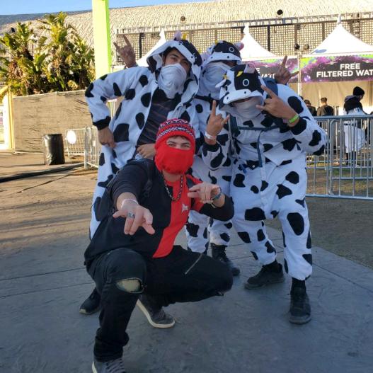 Yung Juice Box yung_juicebox TikTok 分析プロフィール、動画、ハッシュタグ Exolyt