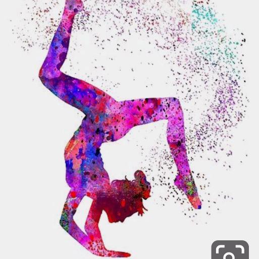 Gymnastics ️ e_gymnastics_v TikTok Analytics Profile, videos