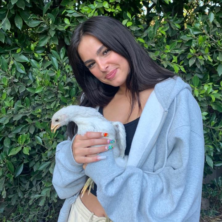 @addisonre TikTok Avatar